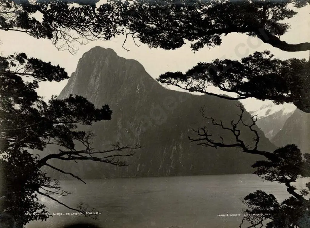 MUIR & MOODIE - Dunedin (1898-1916) - The Lion, Milford Sound c.1903 Image 1++