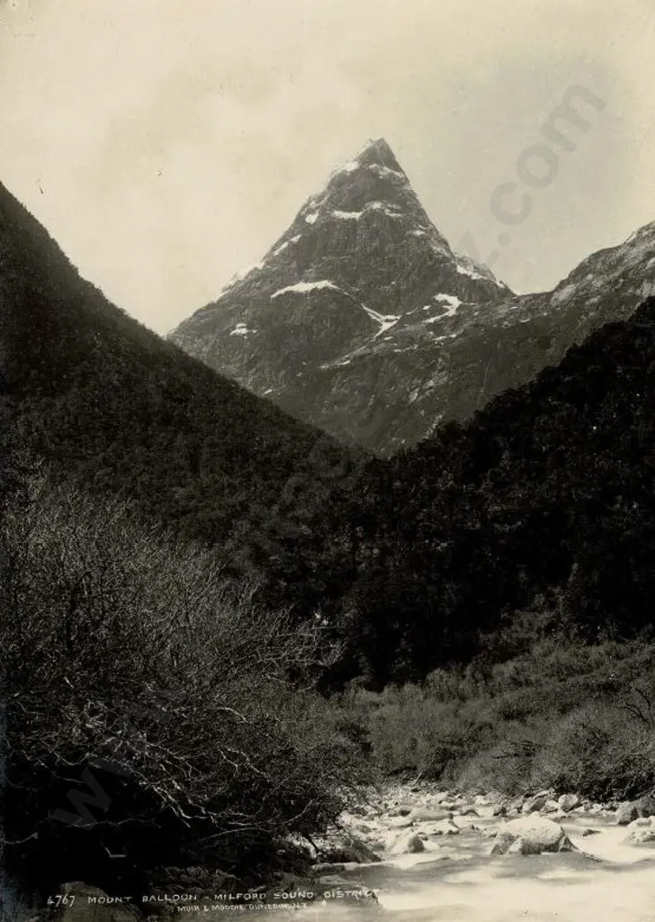 MUIR & MOODIE - Dunedin (1898-1916) - Mount Balloon - Milford Sound District, c.1905 Image 1++
