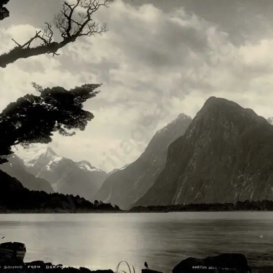 BURTON BROS - Dunedin (1870s-1890s) - Milford Sound from Deepwater Basin, c.1897