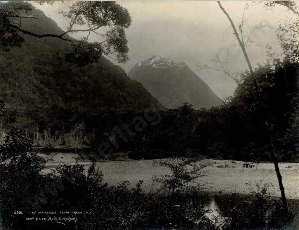 MUIR & MOODIE - Dunedin (1898-1916) - Mount MacKenzie from Track, 1908 Image 1++