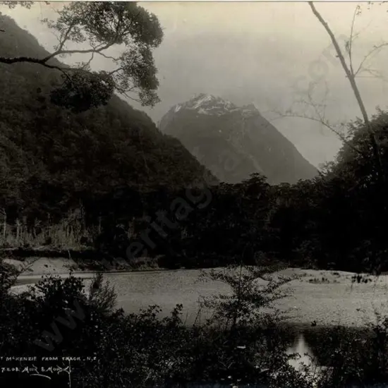 MUIR & MOODIE - Dunedin (1898-1916) - Mount MacKenzie from Track, 1908