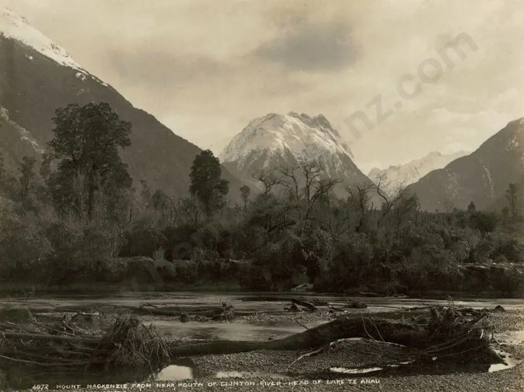 BURTON BROS - Dunedin (1870s-1890s) - Mount MacKenzie from Near Mouth of Clinton River, c.1897 Image 1++