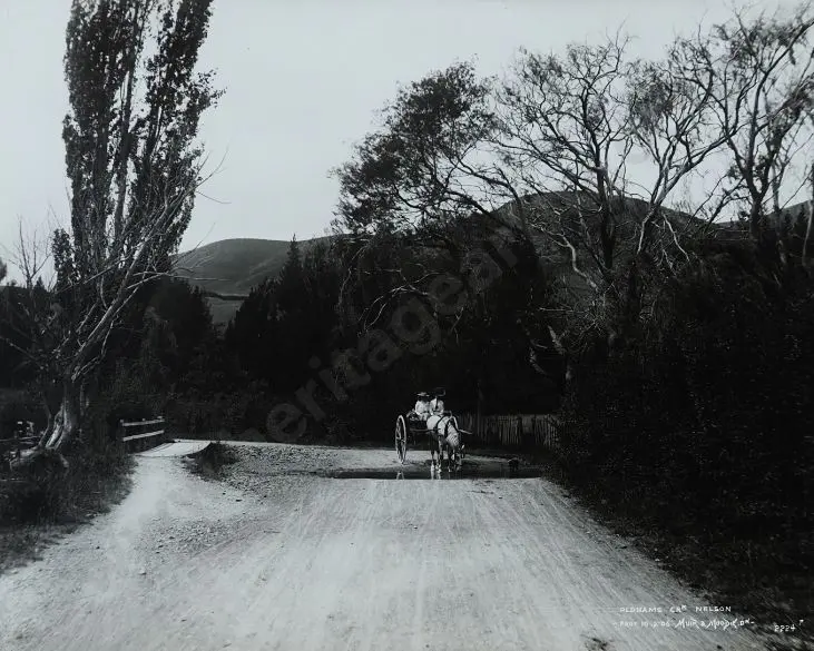 MUIR & MOODIE - photographers (1898-1916) - Oldham's Creek Nelson, 10th February 1906 Image 1++