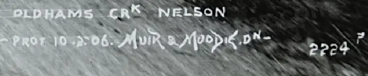 MUIR & MOODIE - photographers (1898-1916) - Oldham's Creek Nelson, 10th February 1906 Image 1++