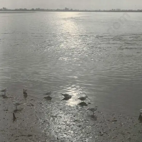 CASBOLT, Frederick Lennard (1896-1987) - At the Water's Edge