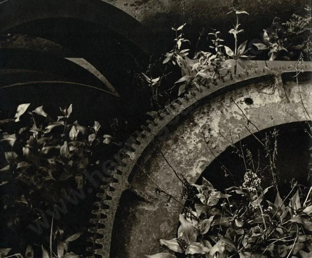 CASBOLT, Frederick Lennard (1896-1987) - Variations on a Theme Image 1++