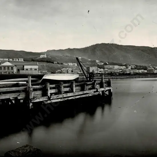 UNKNOWN - Wellington Harbour, c.1859