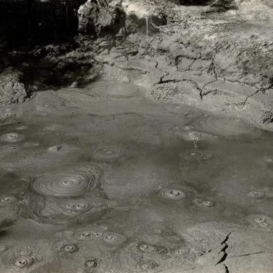 NZ GOVT PUBLICITY (Early 20th Cent.) - Mud Pools, Rotorua, c.1910