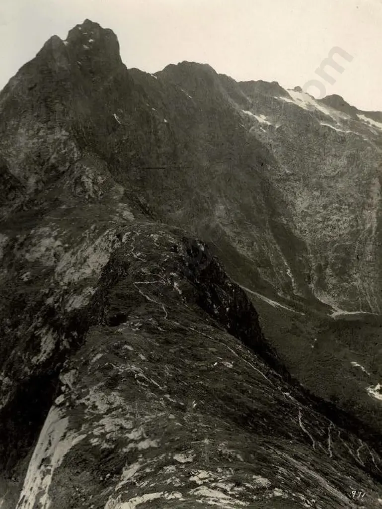 NZ GOVT PUBLICITY (Early 20th Cent.) - McKinnon's Pass, c.1910 Image 1++