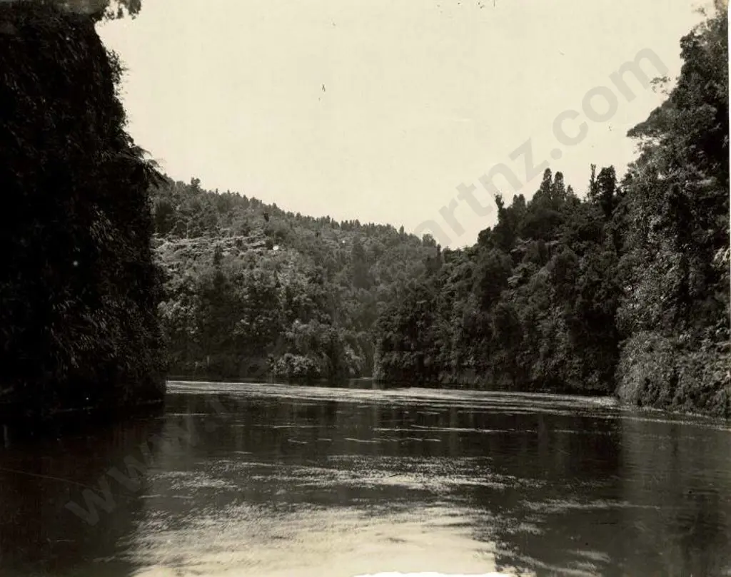 NZ GOVT PUBLICITY (Early 20th Cent.) - Unknown River with Bush. Possibly Wanganui, c.1910 Image 1++