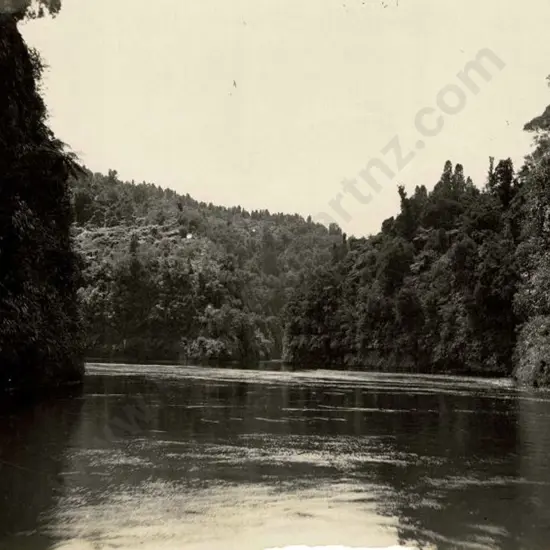 NZ GOVT PUBLICITY (Early 20th Cent.) - Unknown River with Bush. Possibly Wanganui, c.1910