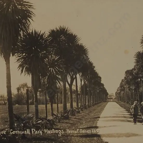 UNKNOWN photographer - The Avenue, Cornwall Park, Hastings c. 1905