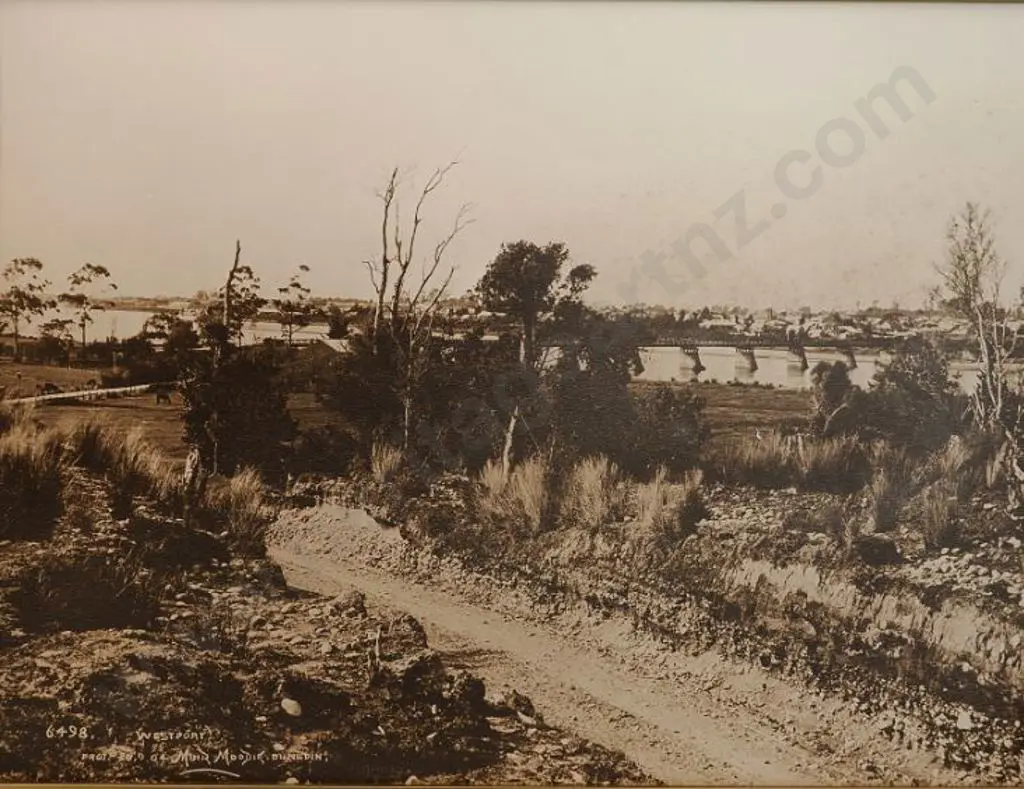 MUIR & MOODIE Photographers - Westport 1904 Image 1++