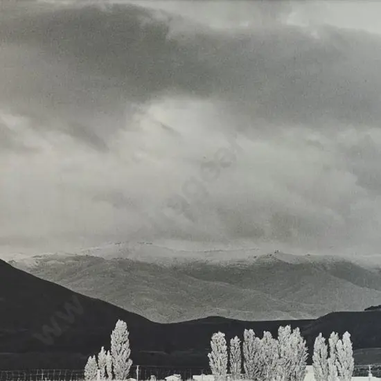 GIVEN, Bruce (1916-2001) - There Shall be Light (Poplar Trees in Field)