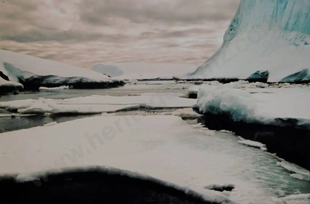 UNKNOWN Photographer - Glacial Vista Image 1++