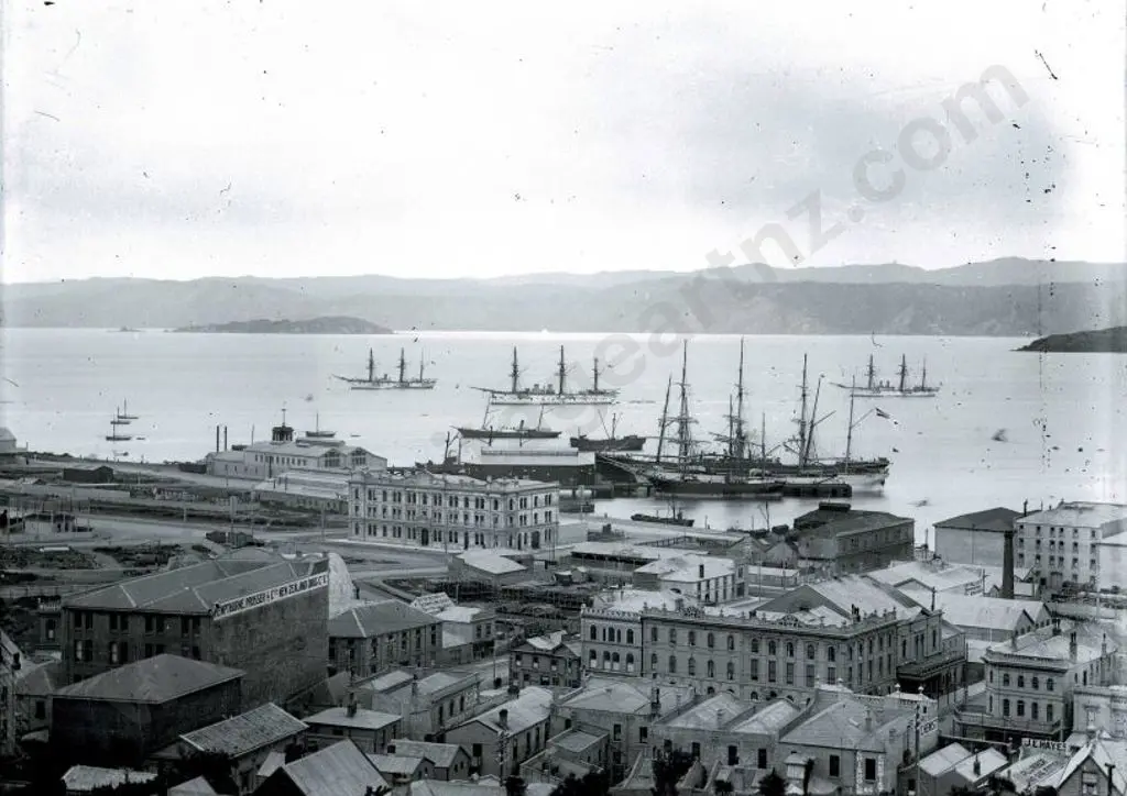 UNKNOWN - German Naval Squadron in Wellington Harbour, 1890 Image 1++