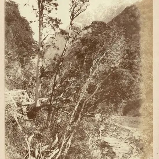 UNKNOWN - Otira Gorge, c. 1880