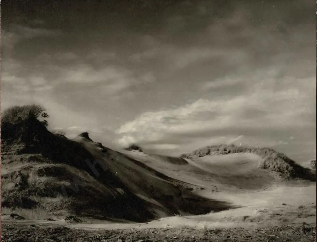 UNKNOWN - Sweeping Sand Dunes and Hillocks Image 1++