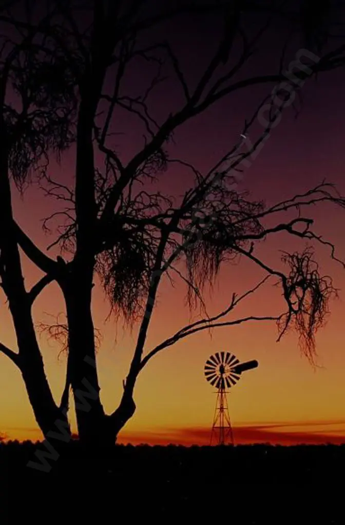 JAV, D. - Outback Australia Image 1++