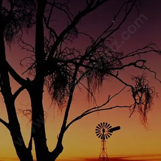 JAV, D. - Outback Australia