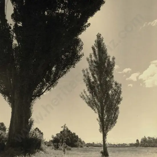 UNKNOWN - Field on Outskirts of Village