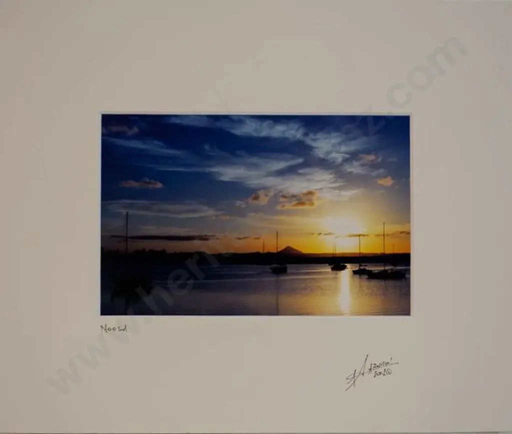 ARNSON, D. - Noosa, Queensland Image 1++