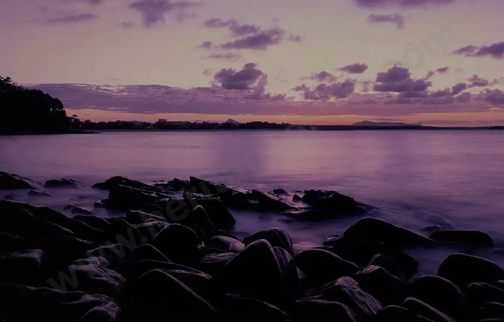 ARNSON, D. - Noosa, Queensland Image 1++