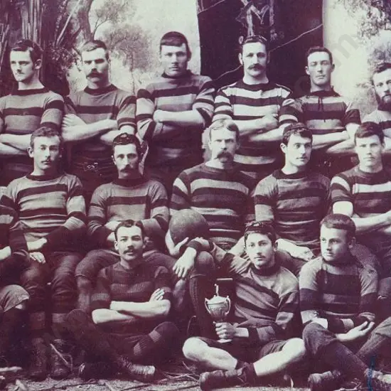 PRICE, Thomas Edward (1863-1928) - Masterton Football First XV, 1891