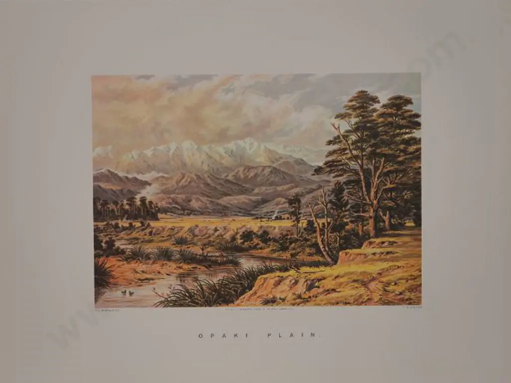 BARRAUD, Charles Decimus (1822-1897) - Opaki Plain Image 1++