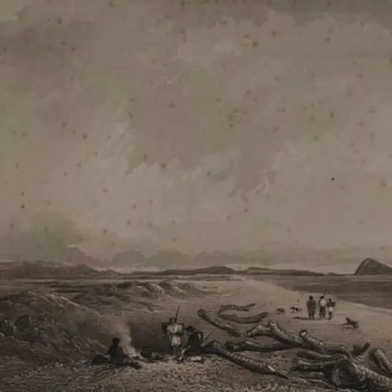 BREES, Samuel Charles (1810-1865) - Sea Coast Near the River Ohau