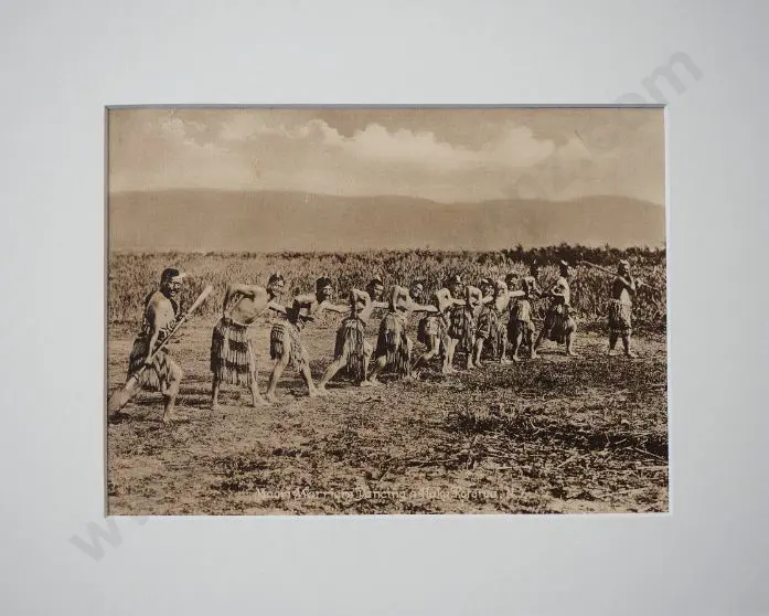 UNKNOWN - Maori Warriors Dancing a Haka, Rotorua, c.1910 Image 1++