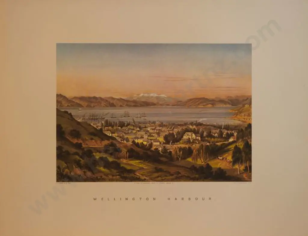 BARRAUD, Charles Decimus (1822-1897) - Wellington Harbour - New Zealand Graphic & Descriptive (1877) Image 1++