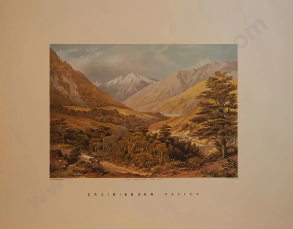 BARRAUD, Charles Decimus (1822-1897) - Craigeburn Valley - New Zealand Graphic & Descriptive (1877) Image 1++
