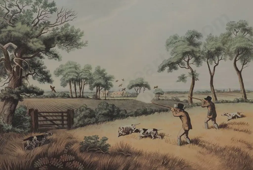 HOWITT, Samuel (1756-1822) - Partridge Shooting 11 Image 1++