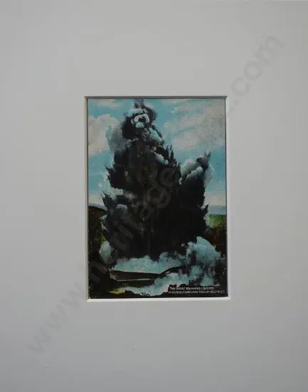 UNKNOWN Photographer - The Great Waimangu Geyser in Action c.1900 Image 1++