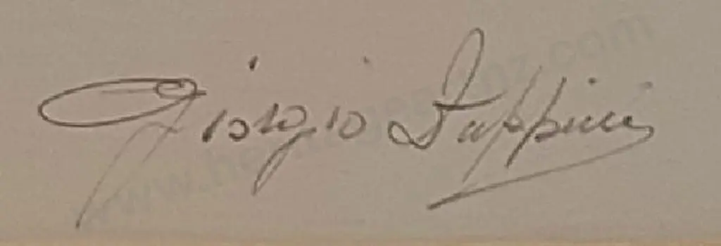 SUPPINi, Giorgio - Mediterranean House Image 1++