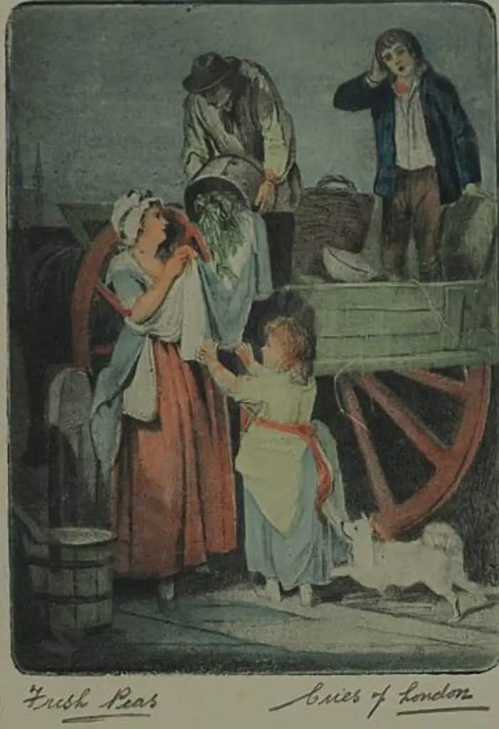 WHEATLEY, Francis (1747-1801) - Cries of London - Fresh Peas Image 1++