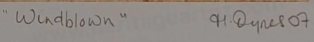 DYNES. Helen (21st Cent.) - Windblown - Woman Protecting Herself from Wind Image 1++