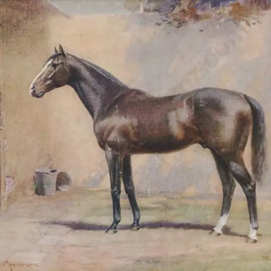 STAINFORTH, Martin (1866-1957) - Standing Horse by Stable Door
