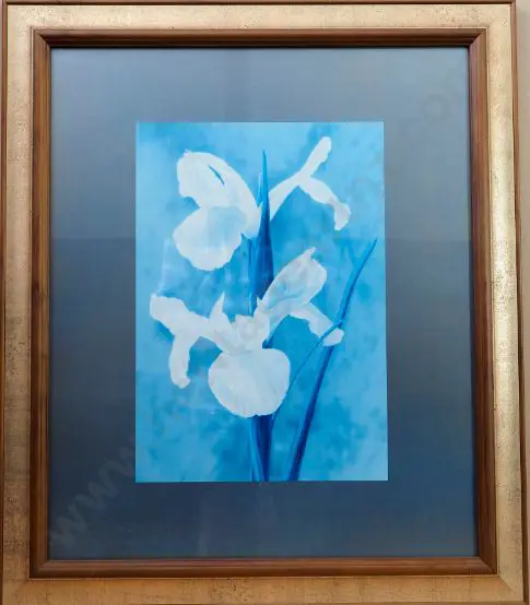 UNKNOWN Artist - White Irises Image 1++